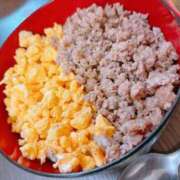 ヒメ日記 2025/11/03 00:05 投稿 くぅ 宮崎ちゃんこ都城店