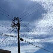 ヒメ日記 2025/11/05 07:25 投稿 くぅ 宮崎ちゃんこ都城店