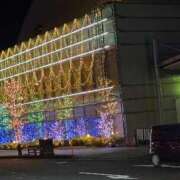 ヒメ日記 2025/11/18 21:25 投稿 くぅ 宮崎ちゃんこ都城店