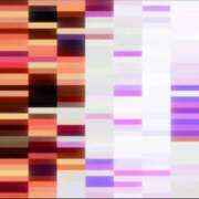 ヒメ日記 2025/11/24 10:45 投稿 くぅ 宮崎ちゃんこ都城店