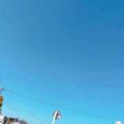 ヒメ日記 2025/11/28 12:13 投稿 くぅ 宮崎ちゃんこ都城店