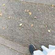 ヒメ日記 2025/12/18 16:01 投稿 くぅ 宮崎ちゃんこ都城店