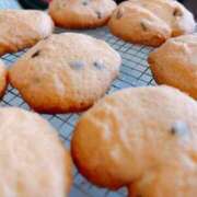 ヒメ日記 2026/03/11 17:55 投稿 くぅ 宮崎ちゃんこ都城店