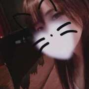 ヒメ日記 2025/09/28 17:59 投稿 ねむ 東京妻next (京都グループ)