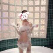 ヒメ日記 2025/06/14 02:58 投稿 うるる 舐めていいとも！柏店