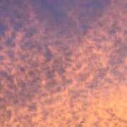 ヒメ日記 2025/10/30 16:54 投稿 あやみ★吉岡里〇似の清純派★ Chloe錦糸町店 S級素人清楚系デリヘル