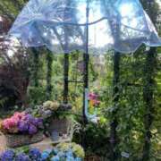 ヒメ日記 2025/06/18 16:01 投稿 田所 はる 人妻セレブ宮殿