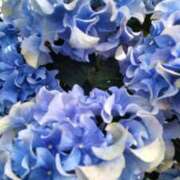 ヒメ日記 2025/06/20 17:09 投稿 田所 はる 人妻セレブ宮殿