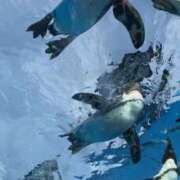 ヒメ日記 2025/07/24 14:04 投稿 アヤ Club 妻