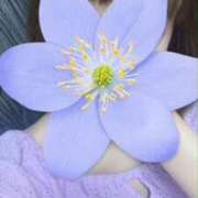 ヒメ日記 2025/09/13 09:50 投稿 アヤ Club 妻