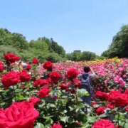 ヒメ日記 2025/11/11 14:10 投稿 アヤ Club 妻