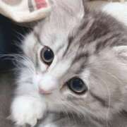 ヒメ日記 2026/02/22 21:48 投稿 アヤ Club 妻