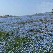 アヤ 本日11時から♡ Club 妻