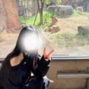 ヒメ日記 2026/03/08 12:11 投稿 るい（極上SPコース対応） LIGHT（ライト）～光が導く無限の可能性～