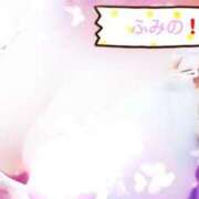 ヒメ日記 2025/07/02 08:00 投稿 ふみの みせすはーと