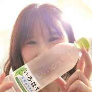 ヒメ日記 2025/07/11 14:15 投稿 ふみの みせすはーと