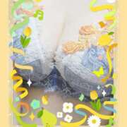 ヒメ日記 2025/07/28 23:55 投稿 ふみの みせすはーと