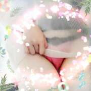 ヒメ日記 2025/10/11 13:31 投稿 ふみの みせすはーと