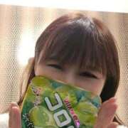 ヒメ日記 2025/11/02 12:05 投稿 ふみの みせすはーと