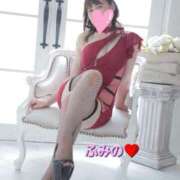 ヒメ日記 2025/11/13 19:02 投稿 ふみの みせすはーと