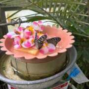 ヒメ日記 2025/10/21 23:50 投稿 みお みせすはーと