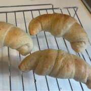 ヒメ日記 2025/06/20 16:09 投稿 なごみ The White