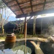 ヒメ日記 2025/06/24 19:55 投稿 なごみ The White