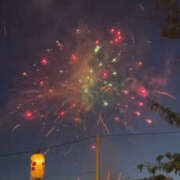 ヒメ日記 2025/07/26 12:32 投稿 なごみ The White