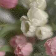 ヒメ日記 2025/08/21 07:31 投稿 なごみ The White