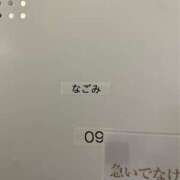 ヒメ日記 2025/09/15 14:46 投稿 なごみ The White