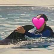 ヒメ日記 2025/09/23 21:23 投稿 なごみ The White