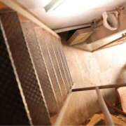 ヒメ日記 2025/09/24 17:08 投稿 なごみ The White