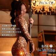 ヒメ日記 2025/10/05 08:47 投稿 なごみ The White