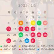 ヒメ日記 2025/10/07 13:07 投稿 なごみ The White