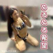 ヒメ日記 2025/10/08 06:14 投稿 なごみ The White