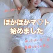 ヒメ日記 2025/10/24 23:26 投稿 なごみ The White