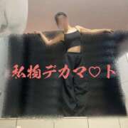 ヒメ日記 2025/10/27 05:43 投稿 なごみ The White