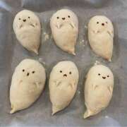 ヒメ日記 2025/10/28 15:22 投稿 なごみ The White