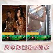 ヒメ日記 2025/11/04 12:05 投稿 なごみ The White