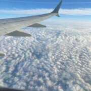 ヒメ日記 2025/11/10 11:25 投稿 なごみ The White