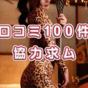 ヒメ日記 2025/11/18 13:29 投稿 なごみ The White