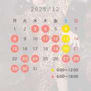 ヒメ日記 2025/11/21 12:04 投稿 なごみ The White