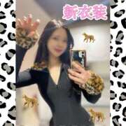 ヒメ日記 2026/02/24 11:47 投稿 なごみ The White