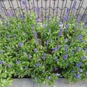 ヒメ日記 2025/06/16 17:21 投稿 千葉 熟女デリヘル倶楽部