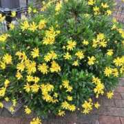 ヒメ日記 2025/06/17 16:14 投稿 千葉 熟女デリヘル倶楽部