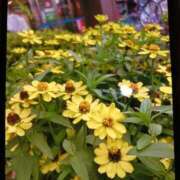 ヒメ日記 2025/06/21 20:32 投稿 千葉 熟女デリヘル倶楽部