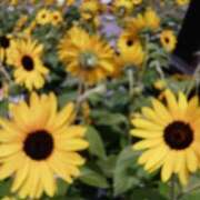 ヒメ日記 2025/06/22 17:34 投稿 千葉 熟女デリヘル倶楽部