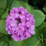 ヒメ日記 2025/06/24 18:59 投稿 千葉 熟女デリヘル倶楽部