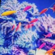 ヒメ日記 2025/06/26 12:40 投稿 千葉 熟女デリヘル倶楽部