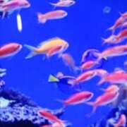 ヒメ日記 2025/06/28 09:09 投稿 千葉 熟女デリヘル倶楽部